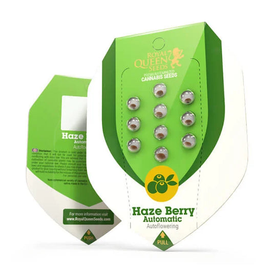 Royal Queen Seeds – Haze Berry Auto Feminized Seeds (Blue Dream–Inspired Sativa Auto) - 3 Seeds