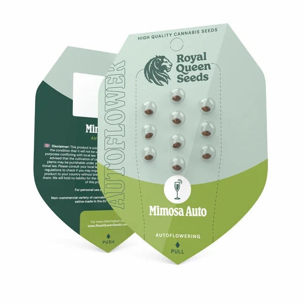 Royal Queen Seeds – Mimosa Auto Feminized Seeds (Citrus Sativa Autoflower) - 3 Seeds