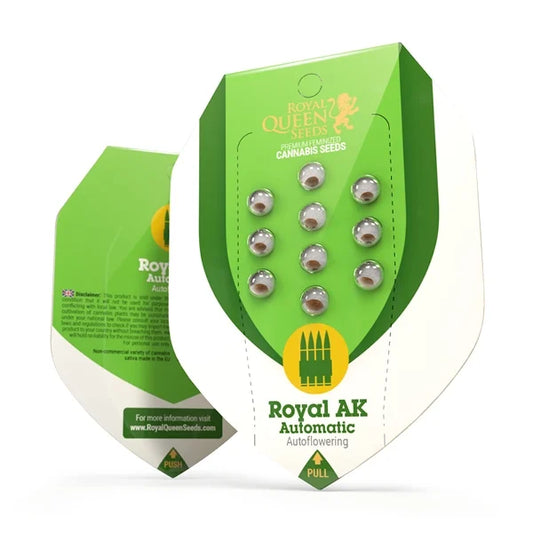 Royal Queen Seeds – Royal AK Auto Feminized Seeds (Giggly Hybrid Autoflower) - 3 Seeds
