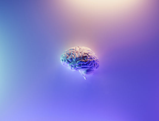 6 Common Myths & Misconceptions About THC and CBD - Erth Wellness