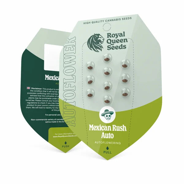 Royal Queen Seeds – Apple Fritter Auto Feminized Seeds (Sweet & Powerful Indica Auto) - 3 Seeds