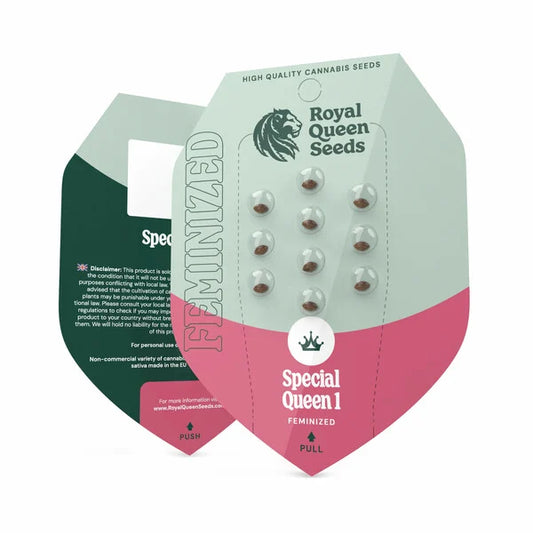 Royal Queen Seeds – Special Queen 1 Feminized Seeds (Classic Skunk Hybrid) - 3 Seeds