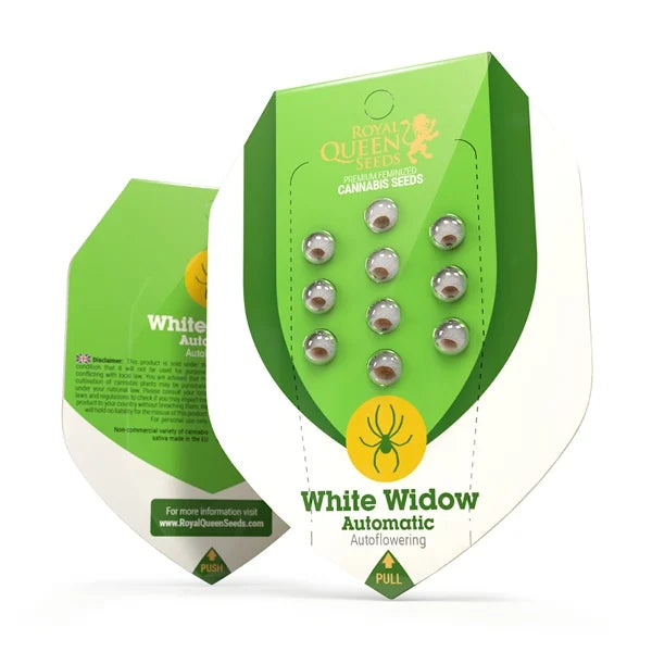 Royal Queen Seeds – White Widow Auto Feminized Seeds (Fast-Flowering Classic) - 3 Seeds